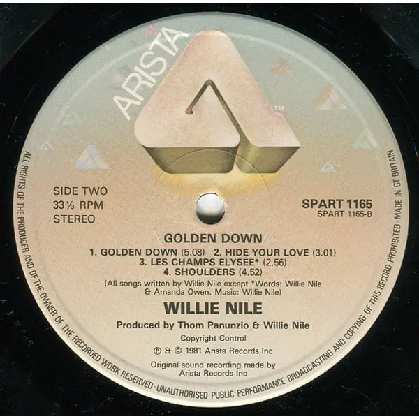 Willie Nile - Golden Down Vinyl LP (LP Record, Album) - NM/VG+ - Classical33.co.uk