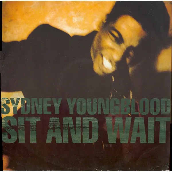 Sydney Youngblood - Sit And Wait 12 Inch Vinyl Single (12 Inch Record) - VG+/VG+ - Classical33.co.uk