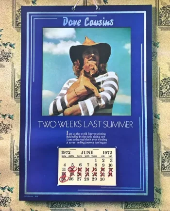 Dave Cousins Two Weeks Last Summer Vintage Record Cover For Sale - Classical33.co.uk