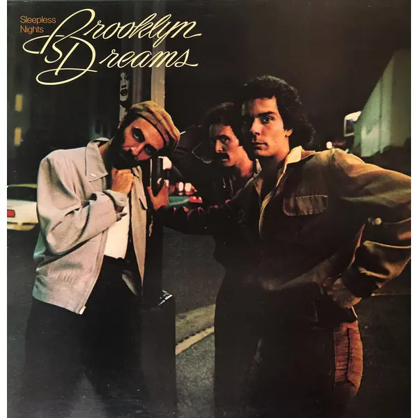 Brooklyn Dreams Sleepless Nights Vintage Vinyl Record Cover For Sale