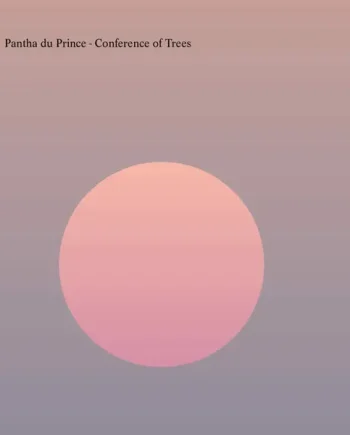 PANTHA DU PRINCE - CONFERENCE OF TREES VINYL (2LP GATEFOLD)