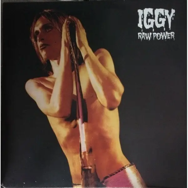 Stooges, The - Raw Power - All City Records