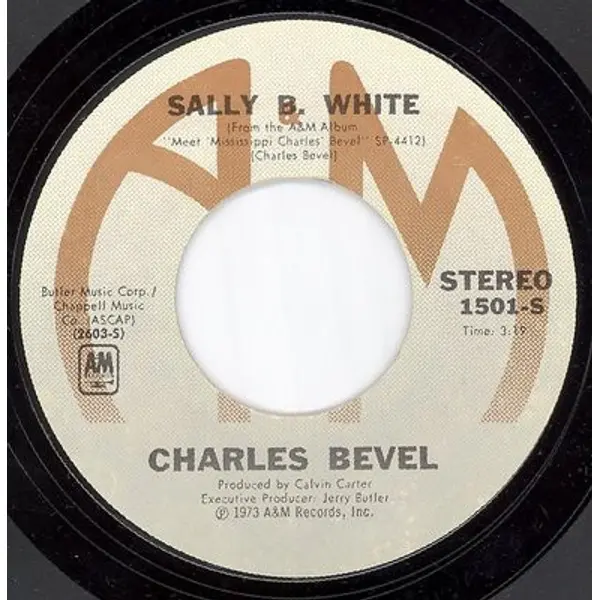 Charles Bevel - Sally B. White / Porcupine Meat - All City Records