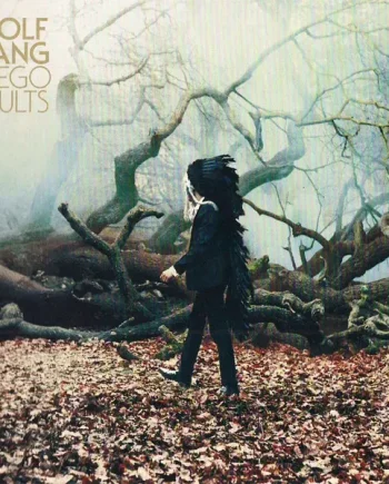 Wolf Gang - Suego Faults (CD, Album) - VG+/NM - Classical33.co.uk