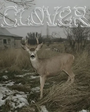 SLEEPER'S BELL - CLOVER VINYL (LTD. ED. LP)