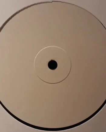 Mala (4) - Changes / Jah Power Dub - All City Records