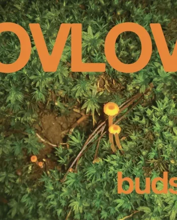 OVLOV - BUDS VINYL RE-ISSUE (LTD. ED. GREEN)