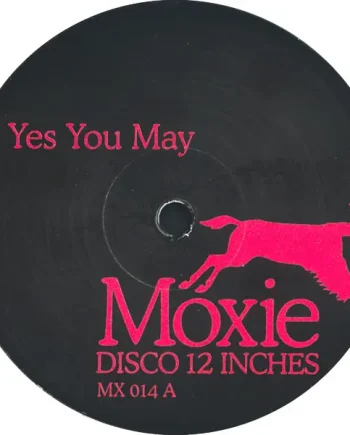 Unknown Artist - Yes You May - All City Records
