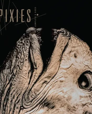 PIXIES - COMPLETE B SIDES: 1988-97 (REMASTERED) VINYL (LTD. ED. CRYSTAL CLEAR 2LP)