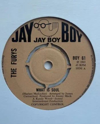 The Furys – What Is Soul | VinylSelector.com