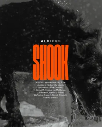 ALGIERS - SHOOK VINYL (LTD. ED. GOLD 2LP)
