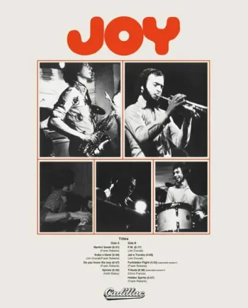 JOY - JOY VINYL RE-ISSUE (LP)