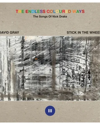 DAVID GRAY / STICK IN THE WHEEL - THE ENDLESS COLOURED WAYS: THE SONGS OF NICK DRAKE VINYL (LTD. ED. 7")