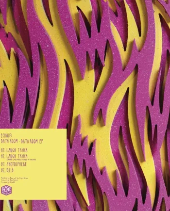 Data Room - Data Room EP - All City Records