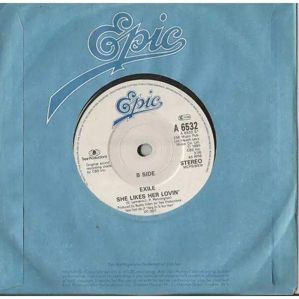 Exile - Hang On To Your Heart 7 Inch Vinyl Single (7 Inch Record) - NM/VG+ - Classical33.co.uk